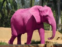 розовый слон