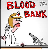 глупые преступления ограбления банка крови
