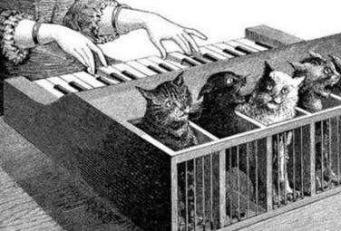 Кошачий клавесин 